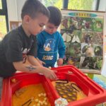 Copii implicați într-o activitate educativă despre albine la o grădiniță din București.